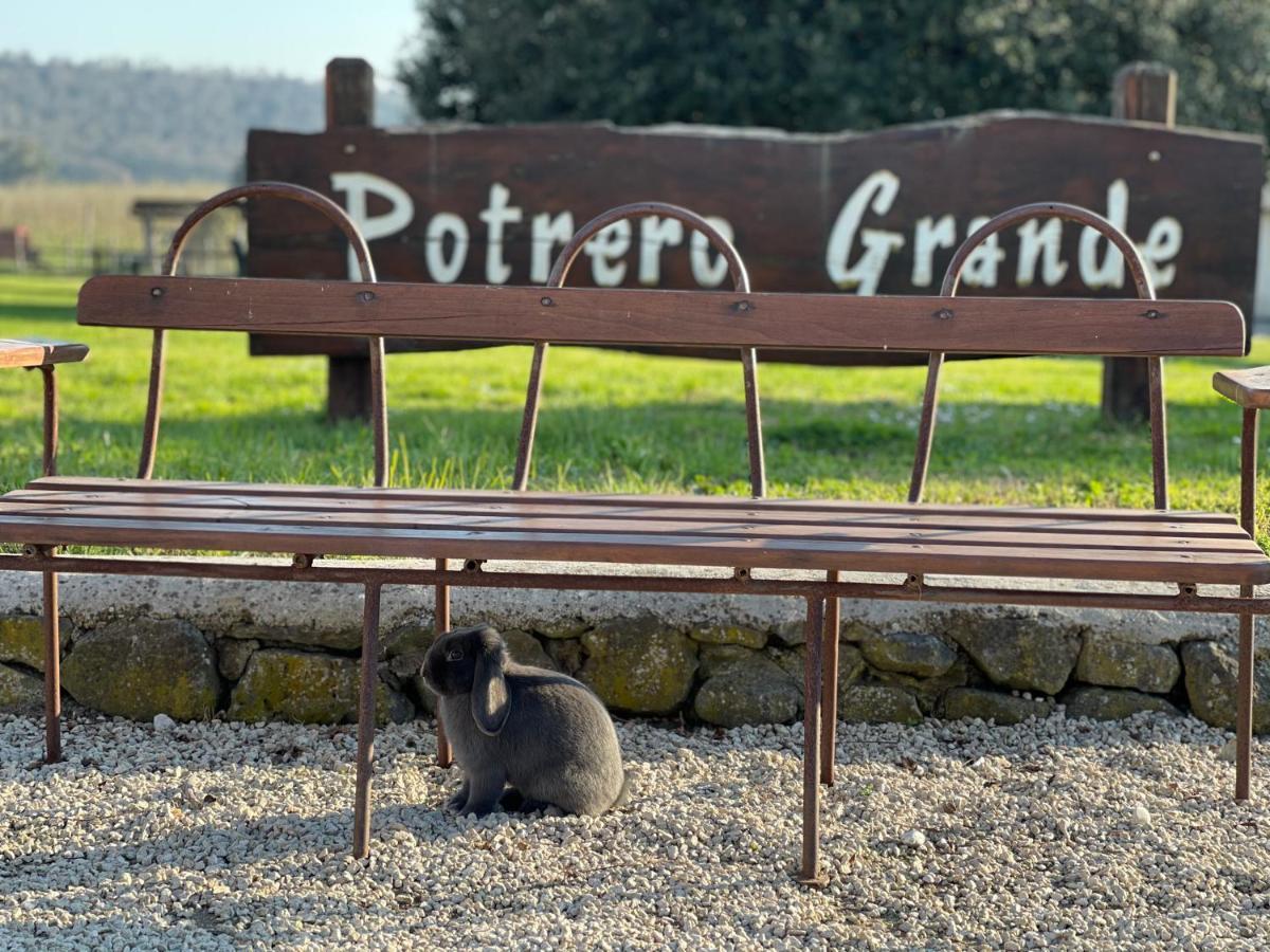 Agriturismo Potrero Grande Sul Lago Di Martignano Con Spiaggia كامباغنانو دي روما المظهر الخارجي الصورة